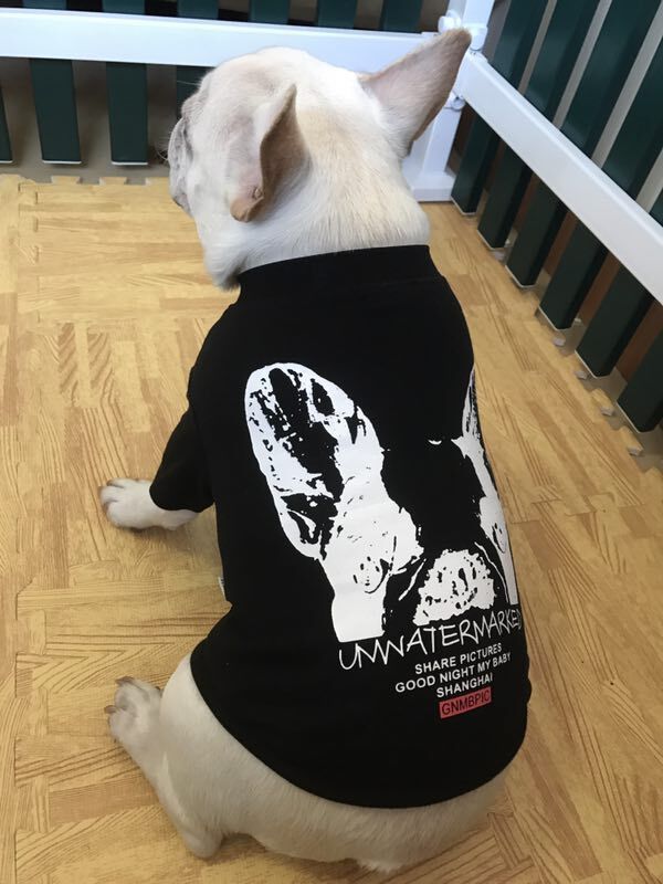 Maglia "Unwatermarked" per Bulldog Francese con Stampa Sul Dorso