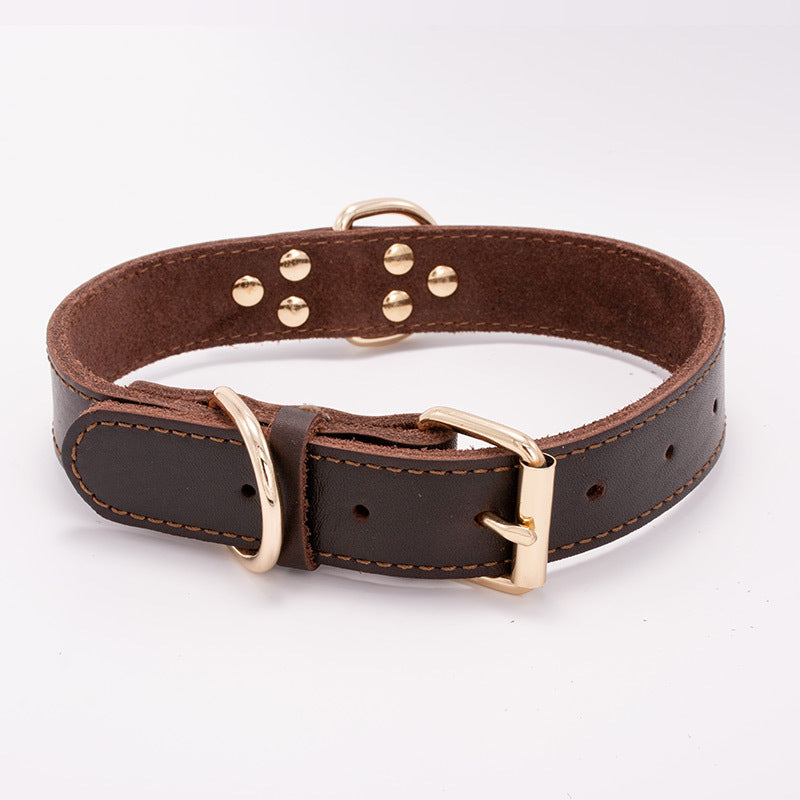 "Pawstrip" Studded Leather Dog Collar - Stylish &amp; Durable