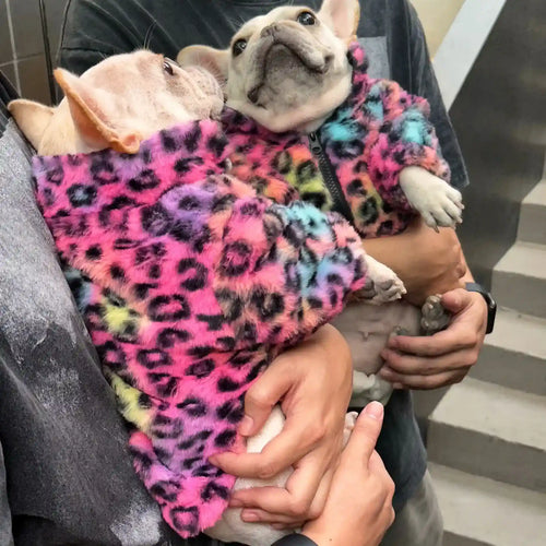 Multicolor Leopard Dog Coat - Velvet Abdomen Zip