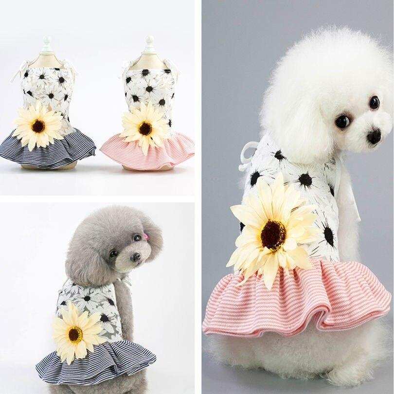 "Cute" Female Puppy Dress 