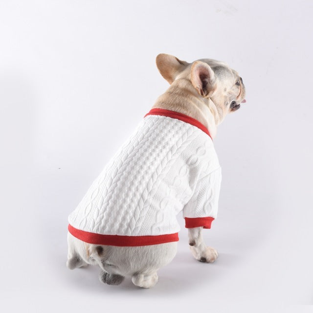 Maglioncino per Bulldog Bianco con Dettagli Rossi - Eleganza e Comfort per l'Inverno