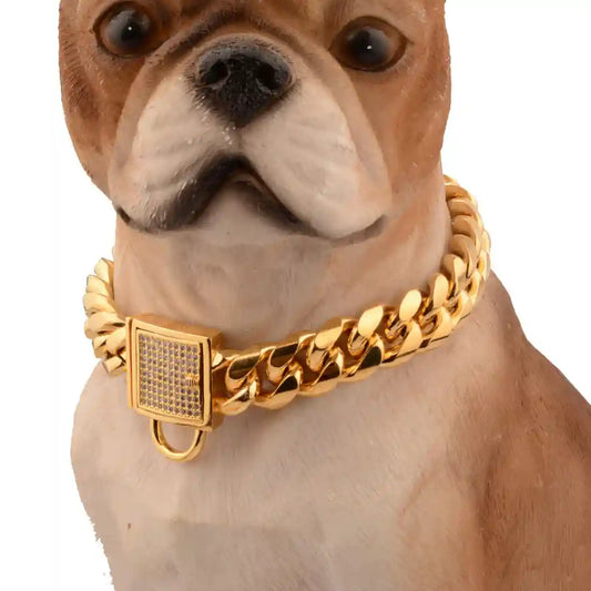 Collare Cani Acciaio Inossidabile Oro - Catena Premium by Dog Moda