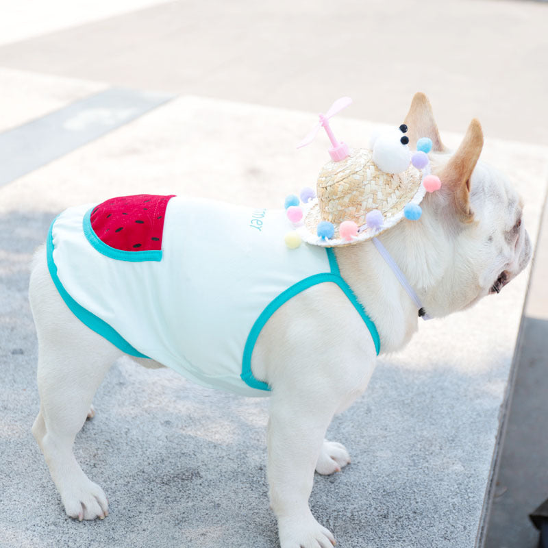"Watermelon" Dog and Bulldog Vest