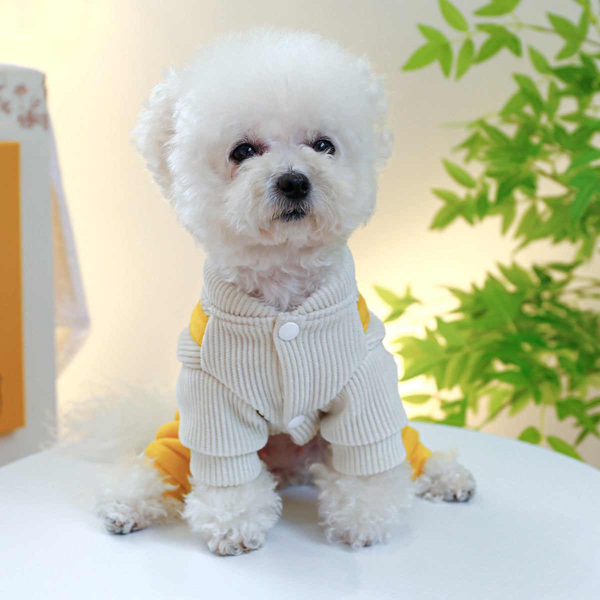 Dog Dress "Tigrotto" - Elegance and Comfort for Your Four-Legged Friend