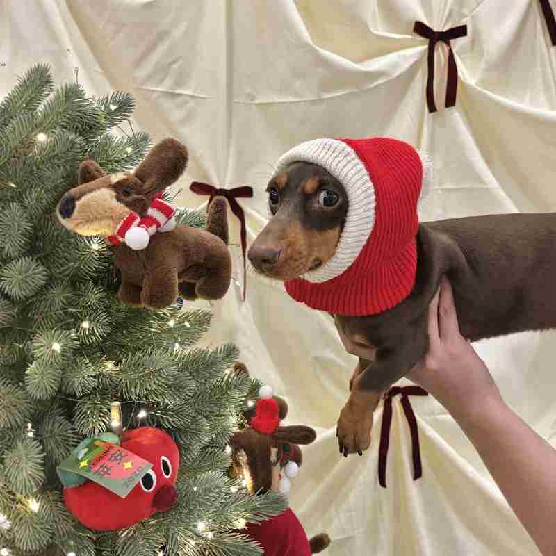犬用クリスマスバラクラバ - 赤いサンタクロースフード