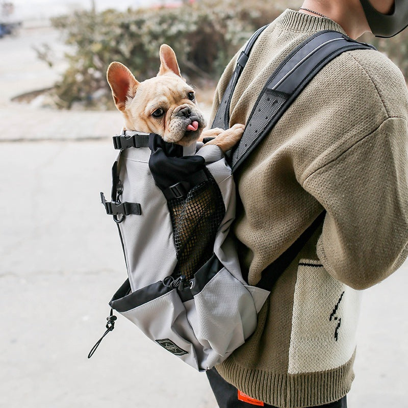 Backpack for medium and small sized dogs "Giramondo"