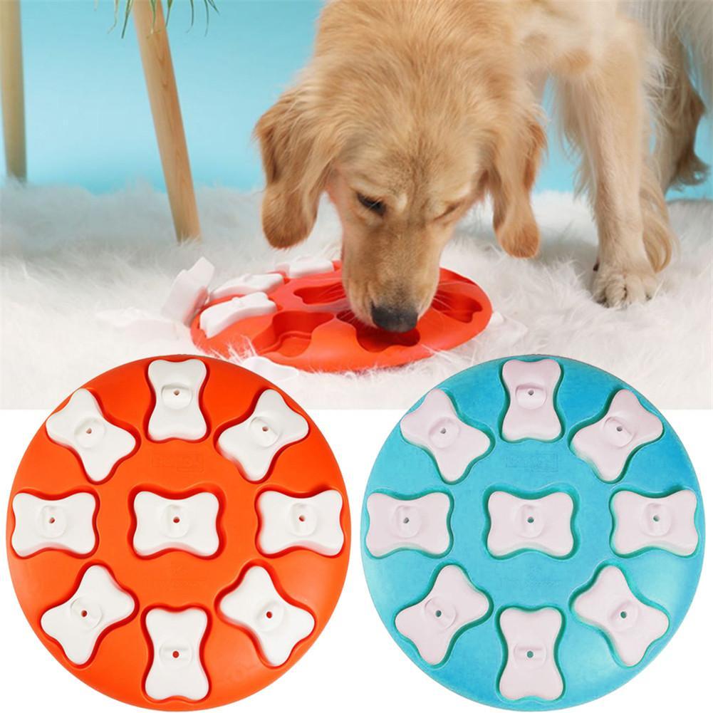 Dog Puzzle with Perforated Caps: The Smart Game That Stimulates Your Four-Legged Friend's Mind