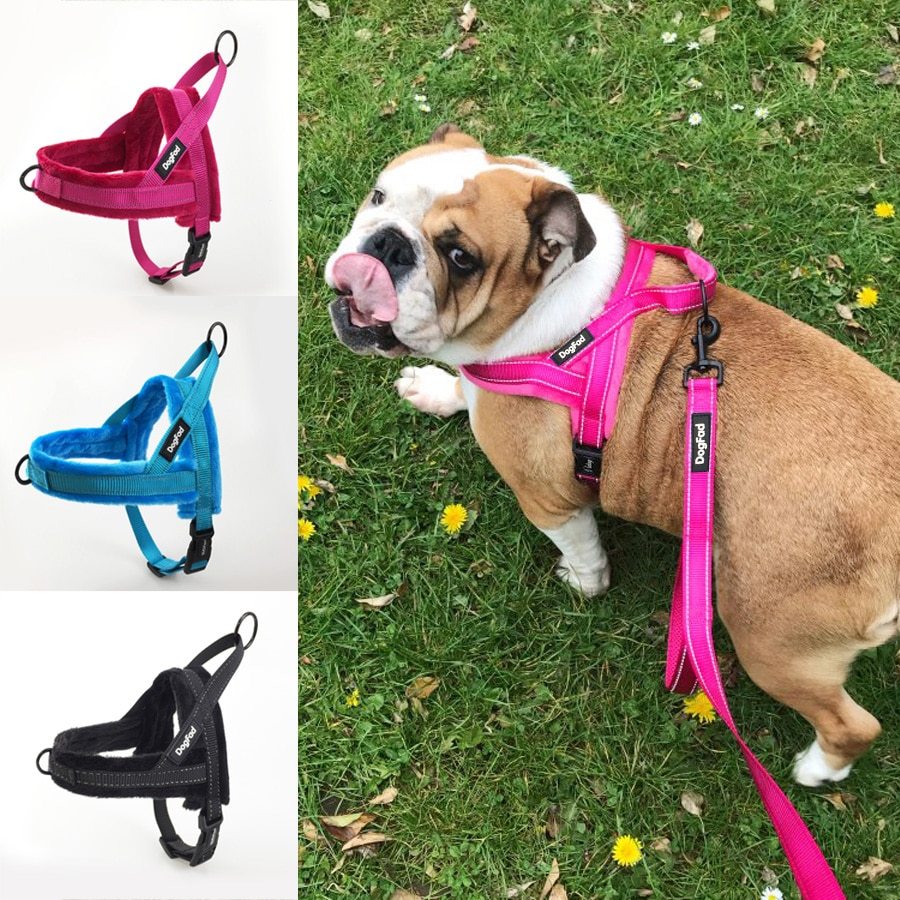 Norwegian Padded Dog Harness - DogFod