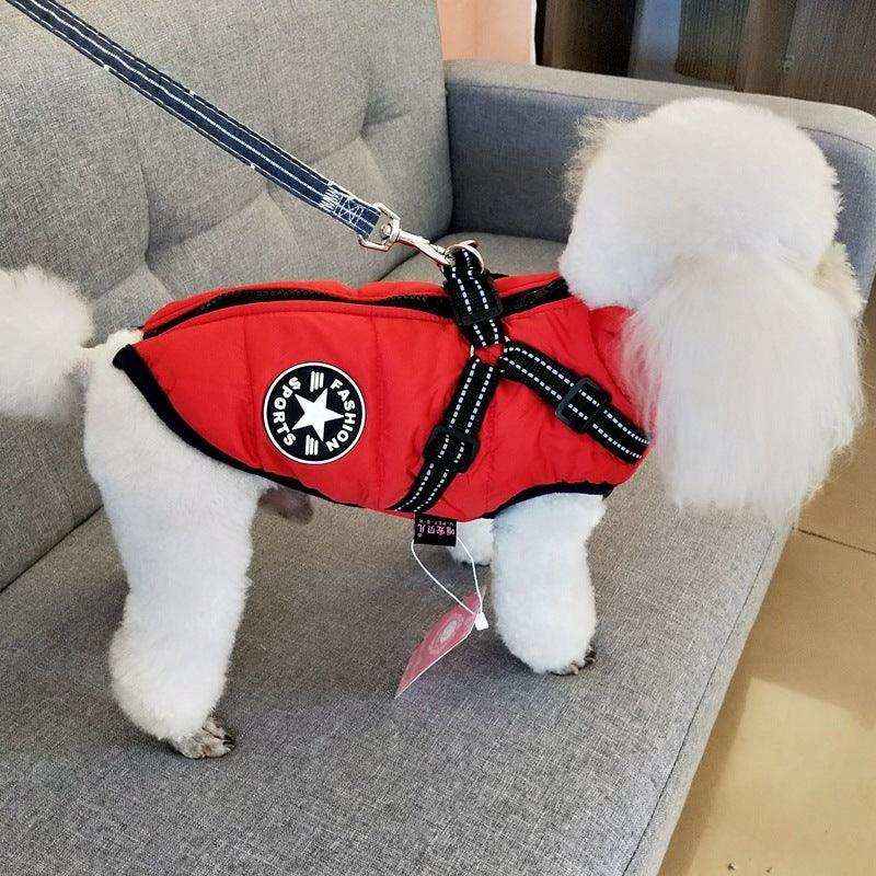 Cappotto Invernale per Cani Hall Star | Imbottito e Impermeabile by Dog Moda