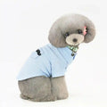 Gray poodle wearing light blue shirt with black mustache detail and pink flower hair clip on white background