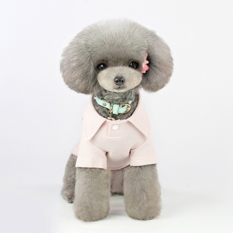 Dog Polo Shirt "Mustache" Model with Pocket and Whisker Embroidery