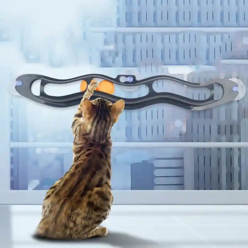 インタラクティブキャットウォールボールゲーム - 刺激的