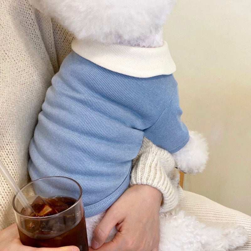 "Couture" Dog Sweater