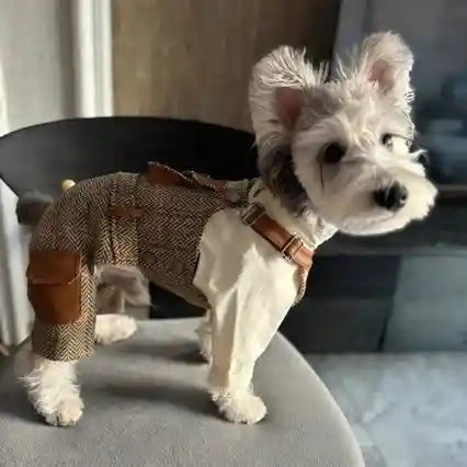 Salopette per Cani con Bretelle - Stile British Premium by null