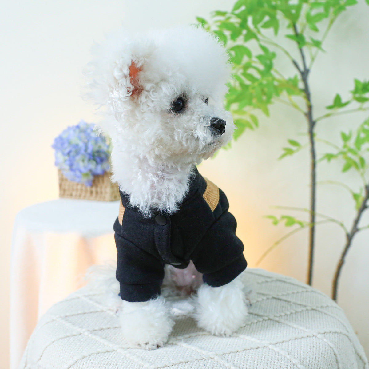 "Bella" Denim Jeans Dog Jumpsuit with Harness Ring