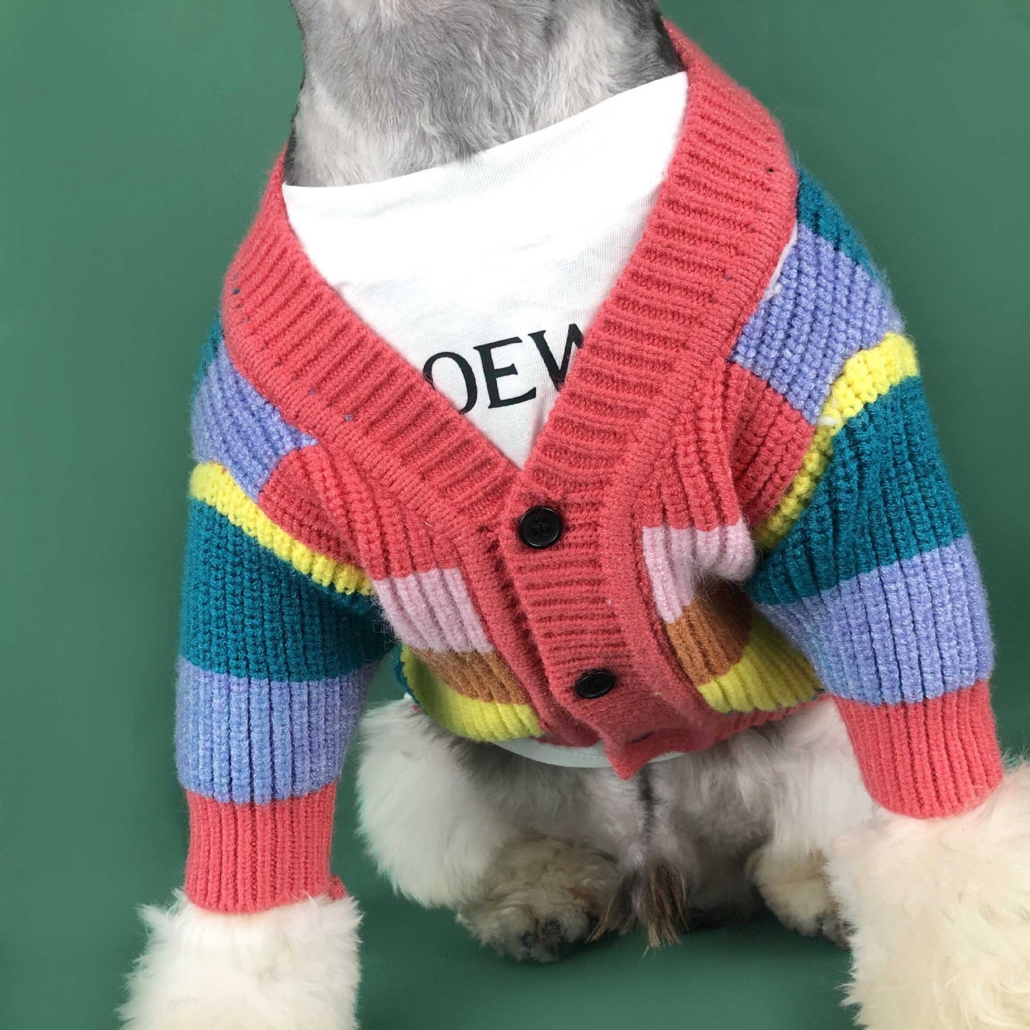 Maglione per Cani "Arcobaleno" – Morbido, Colorato e Super Trendy