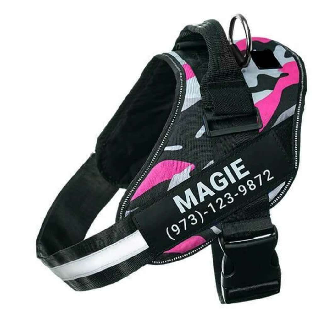 Pettorina per Cani Personalizzabile - Dog Moda