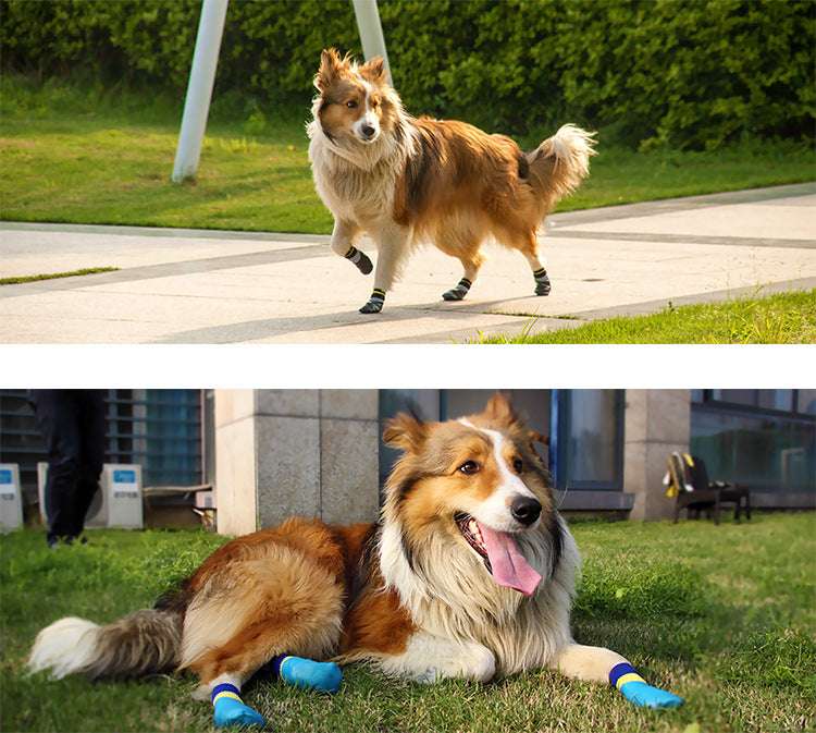 Calzini scarpe impermeabili per cani grandi antiscivolo