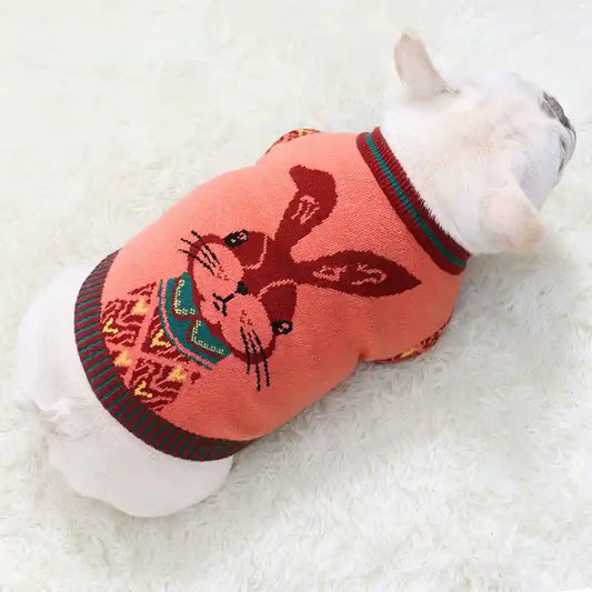 Maglione Cani Bunny Coniglietto - Cotone Nordico by Dog Moda