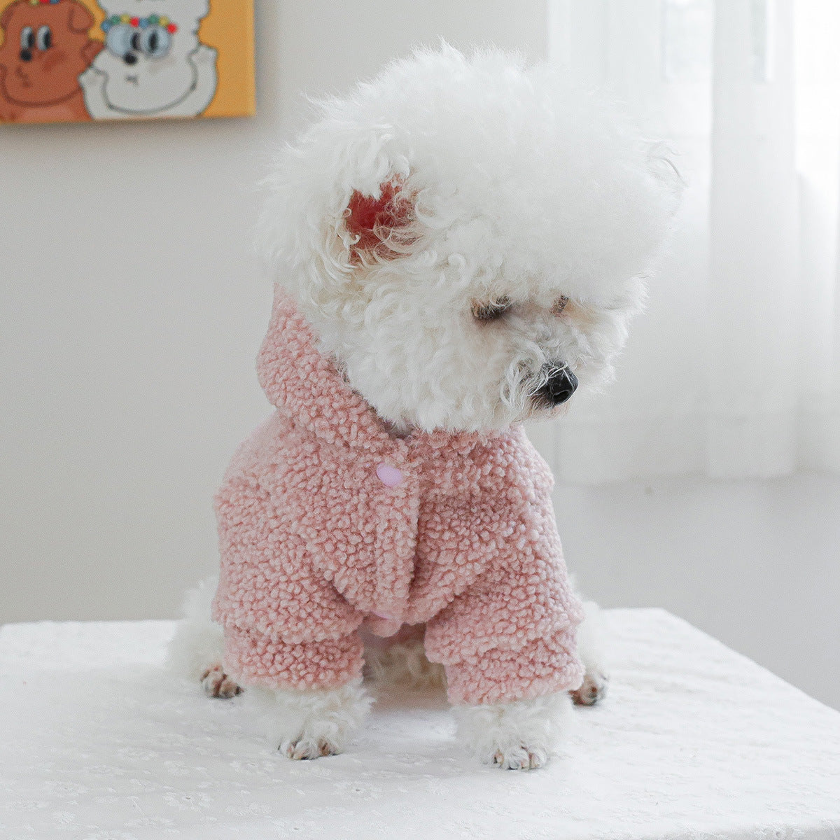 Cappottino Cane New York Super Star Peluche Pon Pon by Dog Moda
