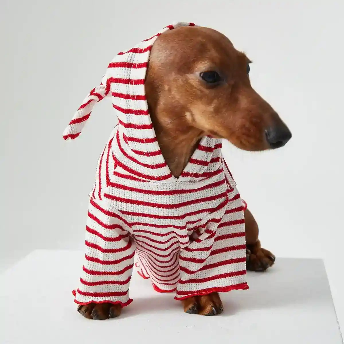 Maglia con Cappuccio per Cani e Gatti - Righe Rosse e Blu Traspirante by Dog Moda