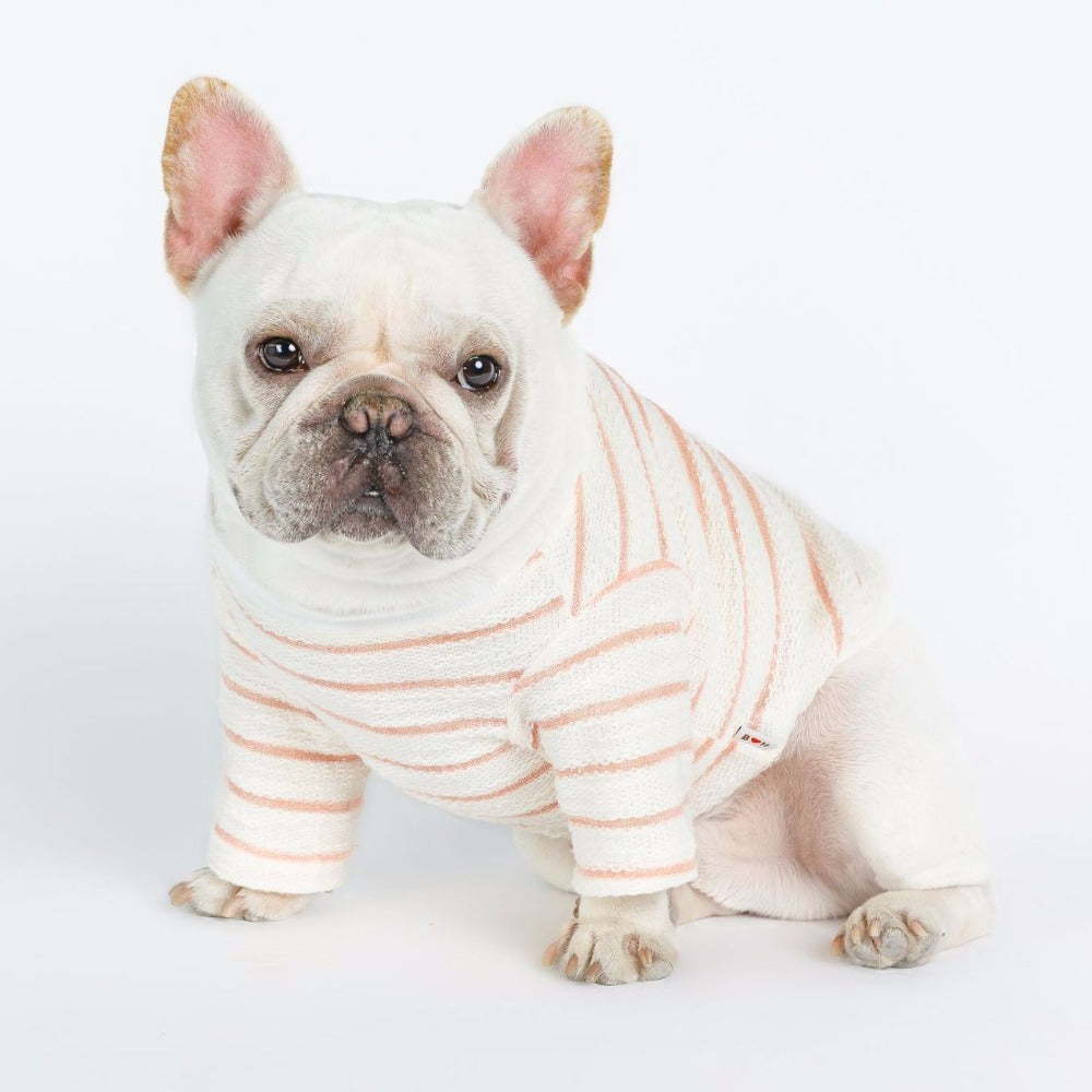 Maglia per cani e Bulldog francese in cotone "Osaka"