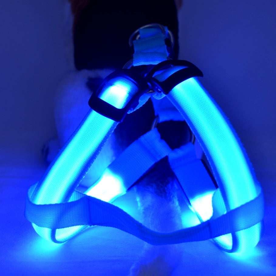 "Hudson" USB Rechargeable Light Up Dog Harness