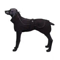 Impermeabile per Cani Modello Blackdoggy – Massima Protezione e Facile da Indossare - Dog Moda