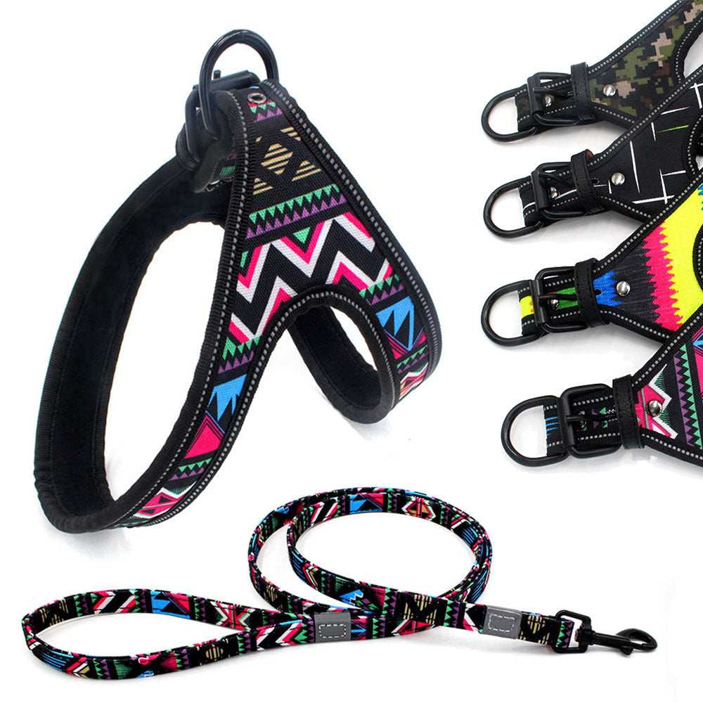 Y-shaped dog harness and leash "Variopinto" model