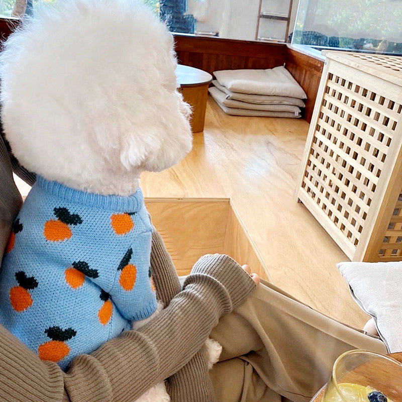 Carrot Pattern Dog Sweater 