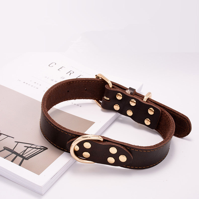 "Pawstrip" Studded Leather Dog Collar - Stylish &amp; Durable