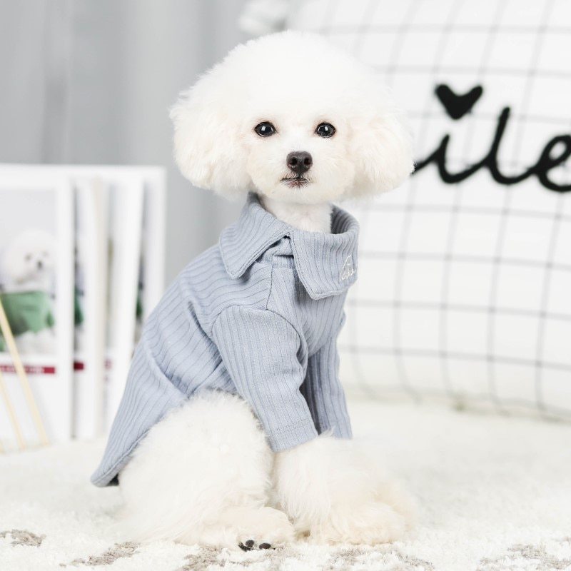 Cotton Sweater for Small Dogs with Embroidery – Elegance and Comfort