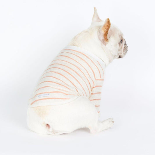 Maglia per cani e Bulldog francese in cotone "Osaka"