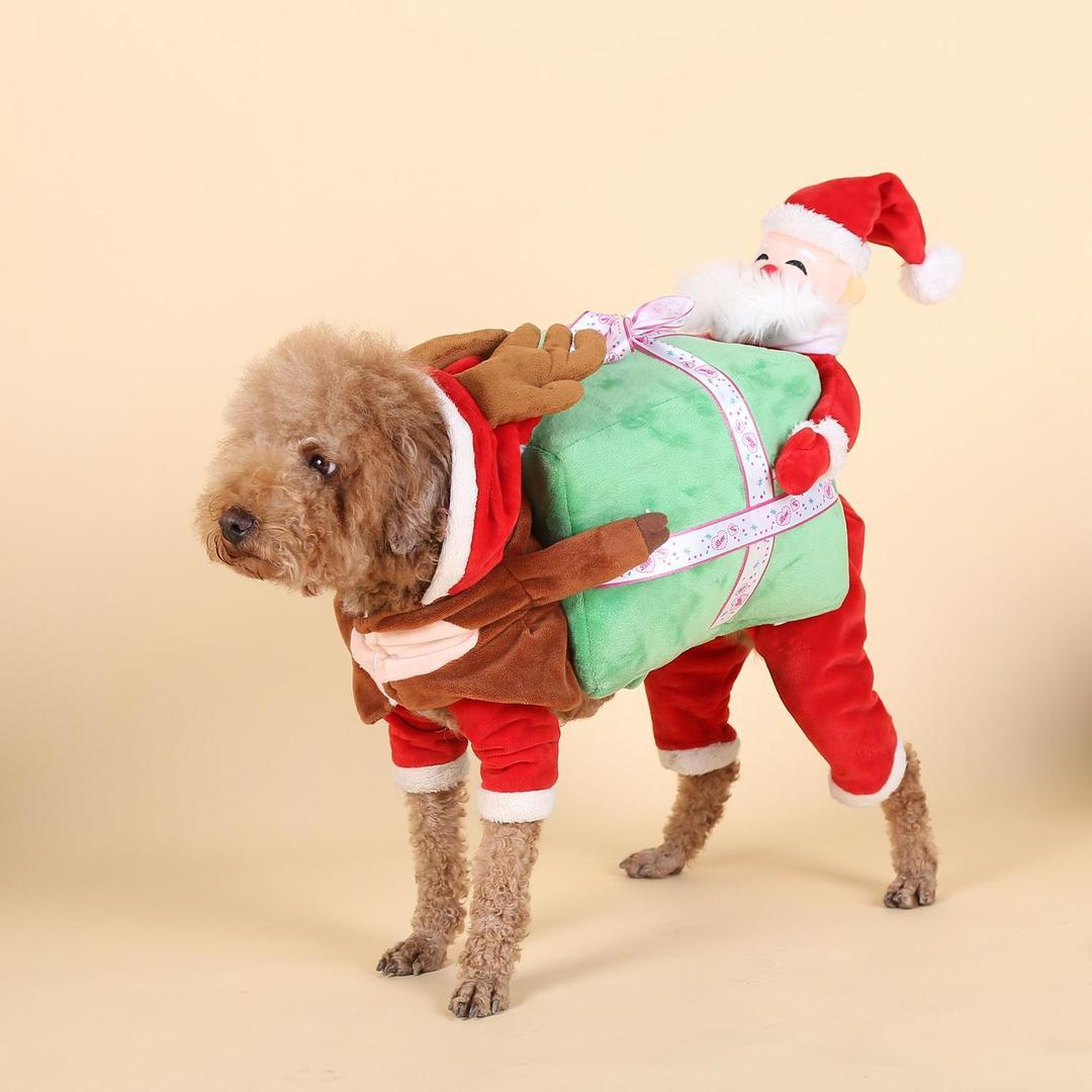 Santa's Helper Dog Costume - Fun and Magic for Your Dog This Holiday Season 