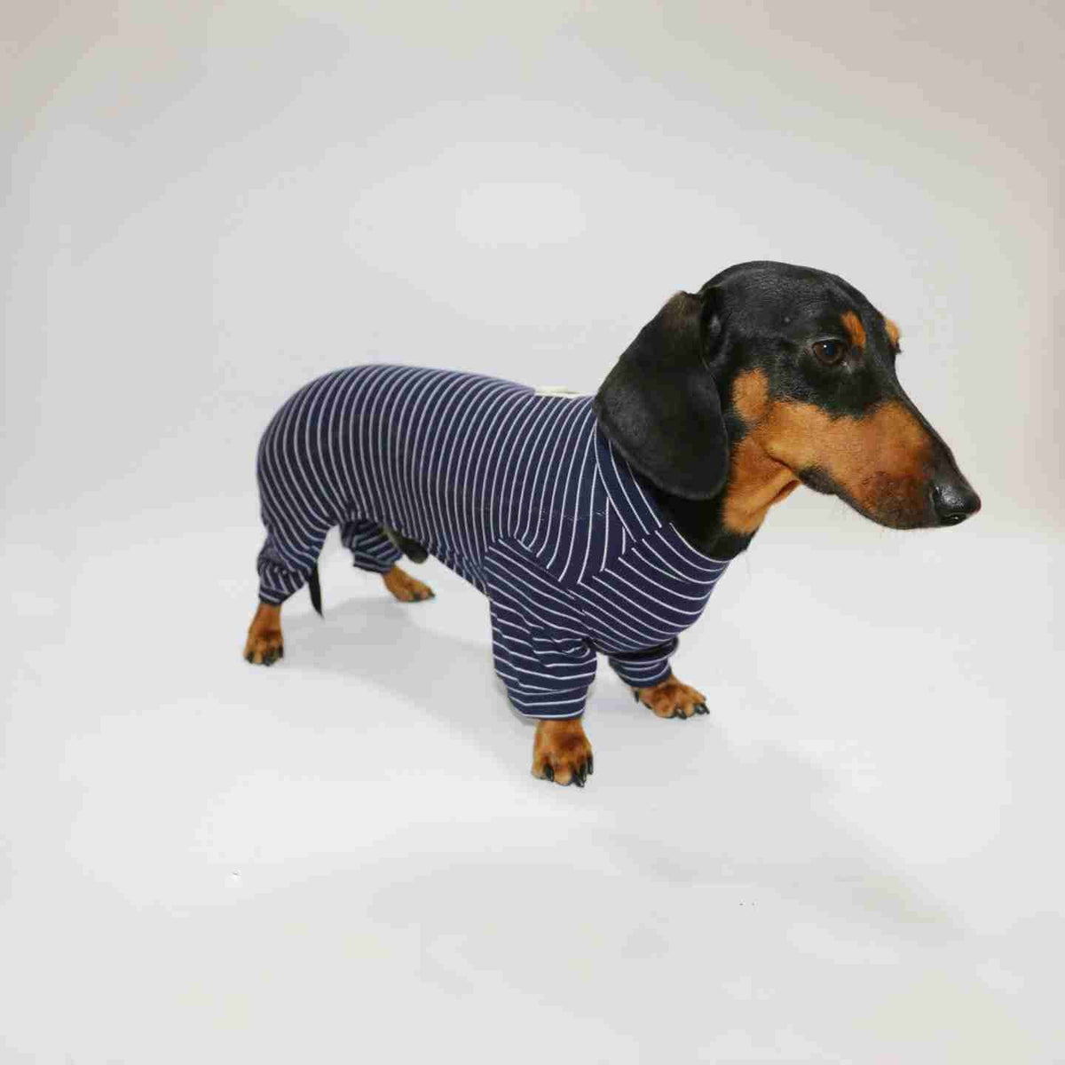 Tutina Bassotto a Righe - Copertura 4 Zampe per Corpi Allungati by Dog Moda