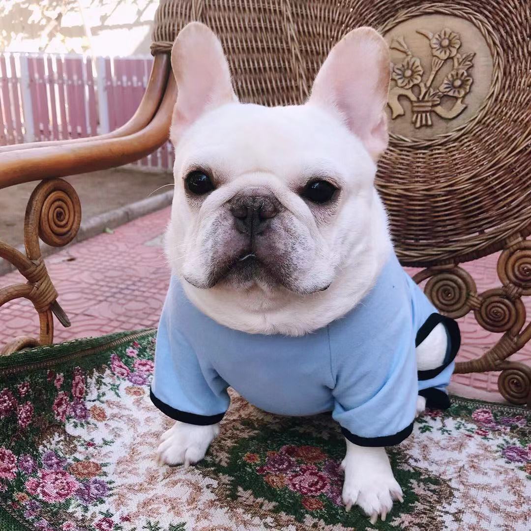 ブルドッグ用4足フリースつなぎ - 冬用パジャマ