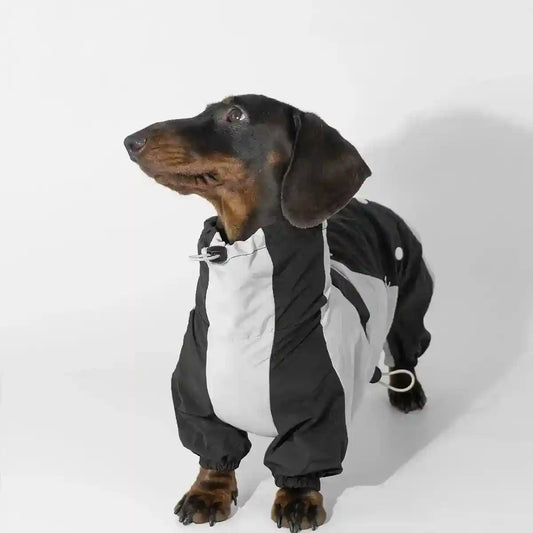 Impermeabile per Bassotto - Protezione Totale 4 Zampe Antipioggia by Dog Moda