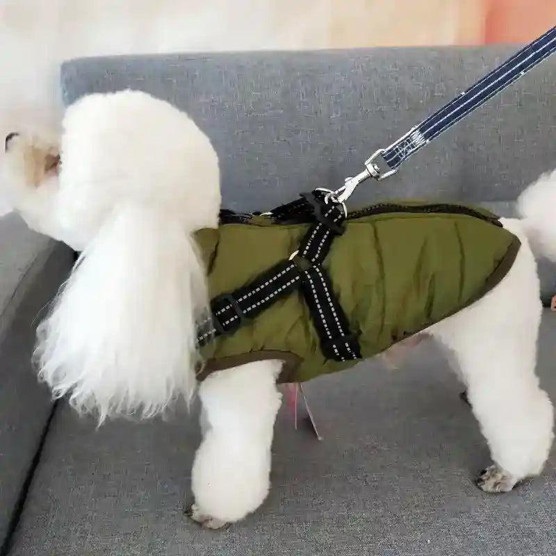 Cappotto Invernale per Cani Hall Star | Imbottito e Impermeabile by Dog Moda