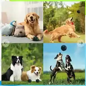 犬用インタラクティブサウンドボール - ギグル効果TPU