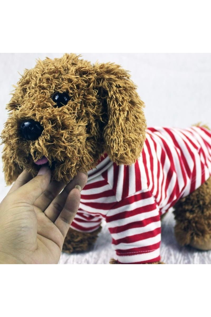 "Authentic" Striped Dog Shirt – Style and Comfort in Every Season