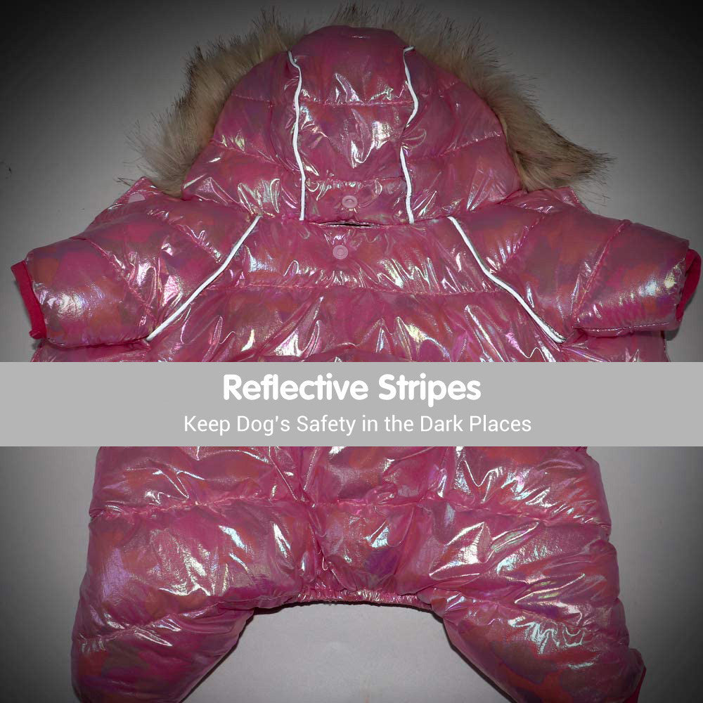 Alaska Small Dog Down Jacket – Warmth and Style for the Winter Months
