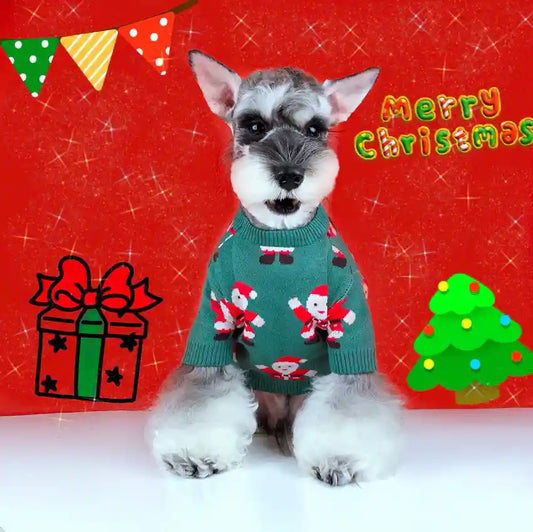 Maglione Natale Cani Babbo Natale Verde - Lana Caldo by Dog Moda