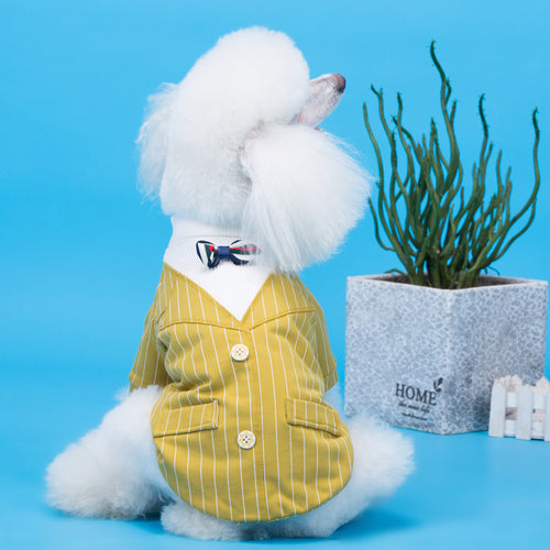 Elegant Dog Dress with Small Bow Tie