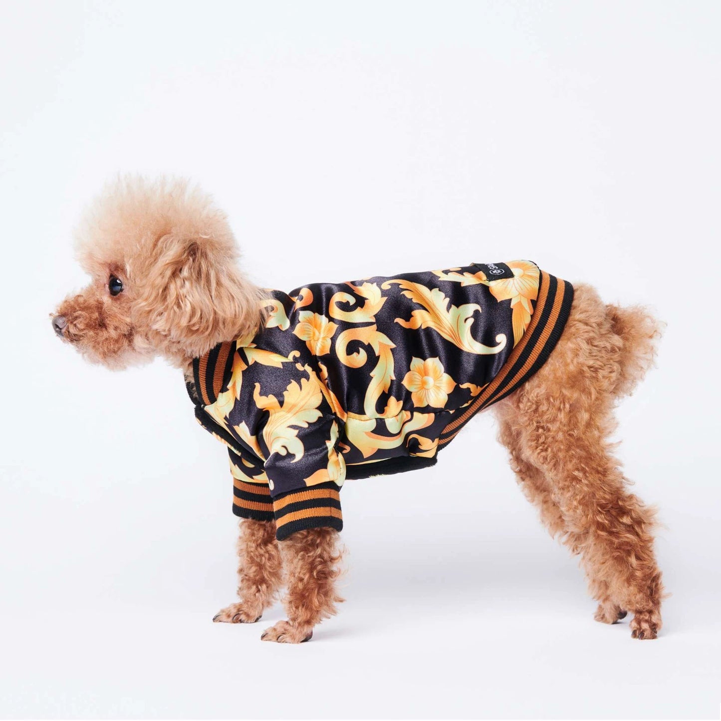 Giacca Antivento per Cani Stile Versace "The King" – Eleganza e Protezione per il Tuo Amico a Quattro Zampe