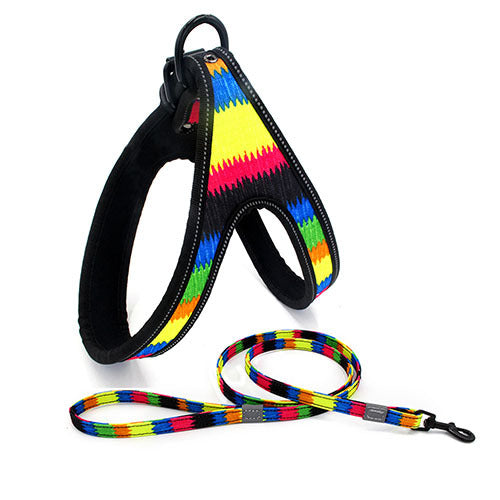 Y-shaped dog harness and leash "Variopinto" model