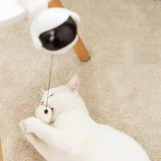 Gioco Interattivo per Gatti con Pallina Pon Pon Elastica by Dog Moda