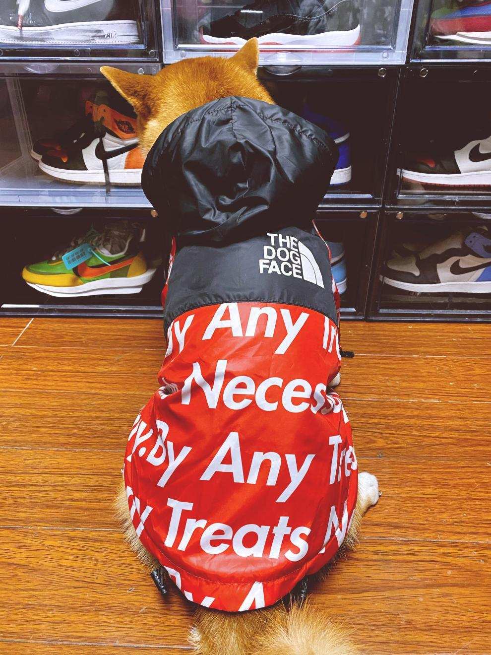 Impermeabile per cani con cappuccio "The Dog Face" – Protezione, comfort e stile per ogni passeggiata