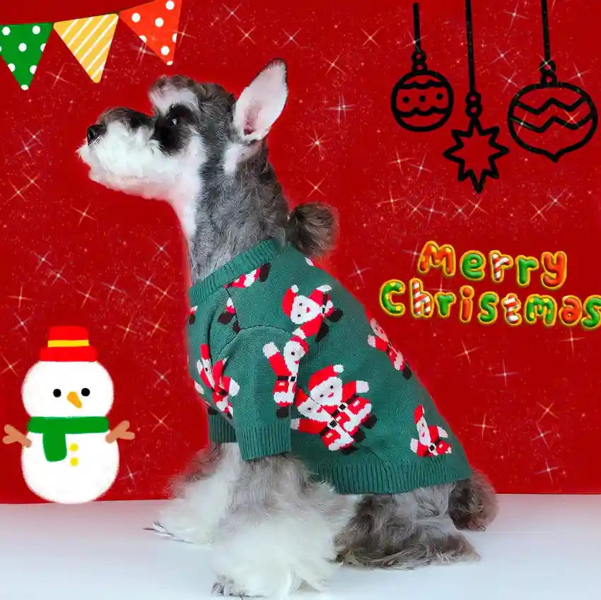 Maglione Natale Cani Babbo Natale Verde - Lana Caldo by Dog Moda