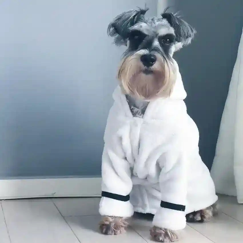 Accappatoio Spa per Cani in Spugna Super Assorbente by Dog Moda