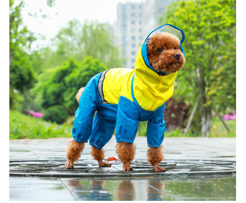 Raincoat "Philadelphia" for Large Dogs